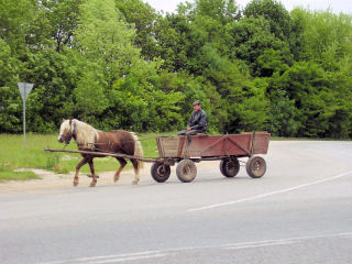 Horse drawn cart