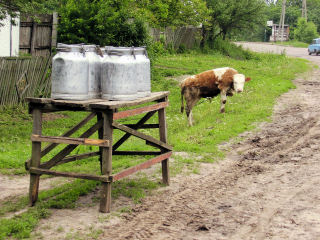 road side milk